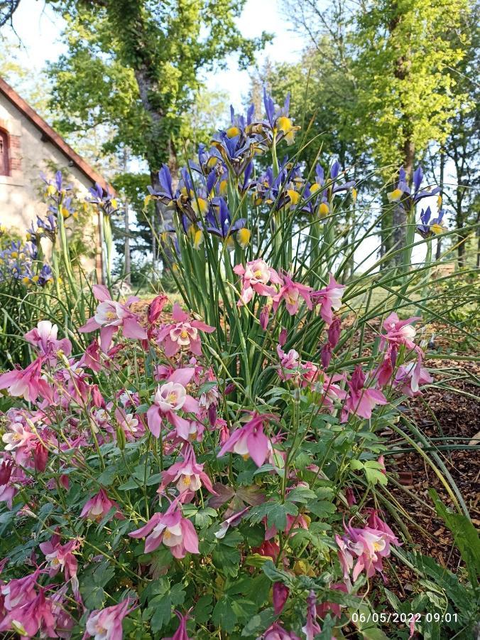 The Cosy Retreat Villa Mornay-sur-Allier Exterior photo